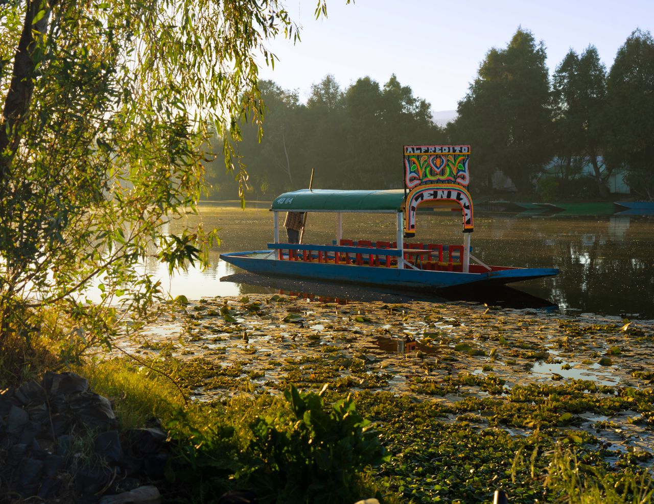 A vibrant trajinera floats on the tranquil Xochimilco canals in Mexico City, surrounded by lush greenery.